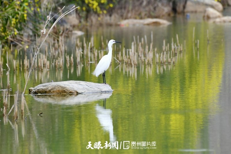 贵州：天蓝水碧生态美