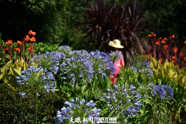 爽爽贵阳 盛夏诗意