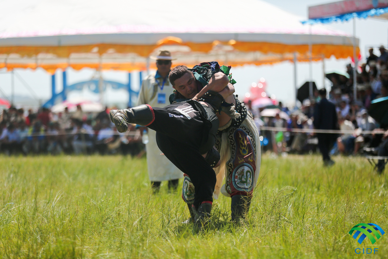 Wrestling Competition (Bökh) Held in Xilingol, Inner Mongolia_fororder_331A9973_副本