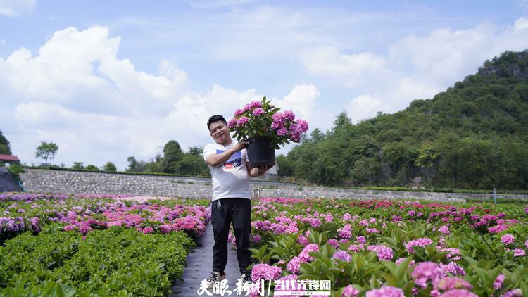 新发展理念的毕节实践｜百里杜鹃：花海超百里，花外景更新