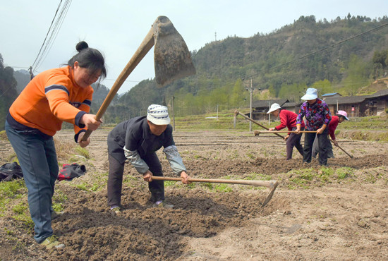 【区县联动】【列表】【区县联动　列表】石柱县中益乡探索实施“三变”试点改革