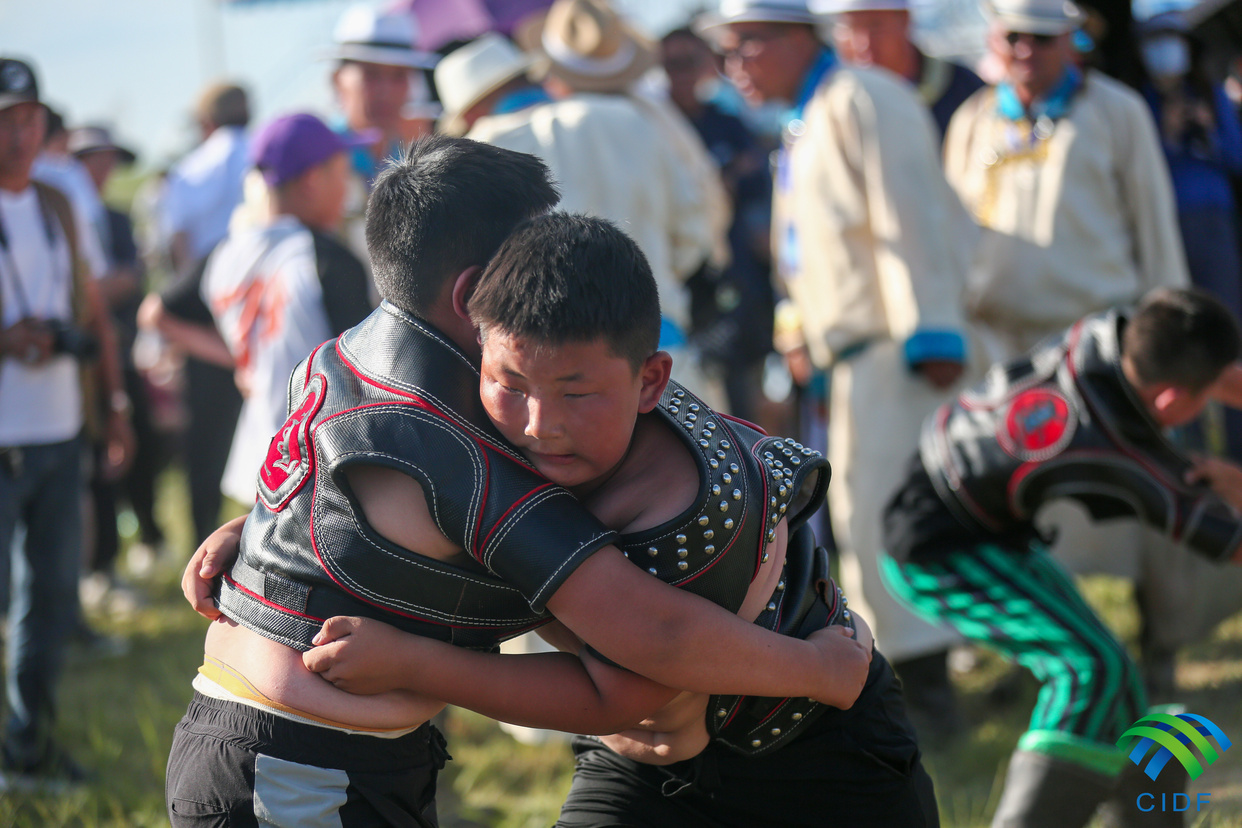 Wrestling Competition (Bökh) Held in Xilingol, Inner Mongolia_fororder_331A9497_副本