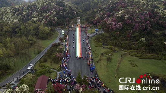 贵州百里杜鹃花节启幕 系列活动精彩纷呈