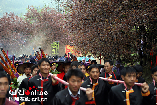 贵州百里杜鹃花节启幕 系列活动精彩纷呈