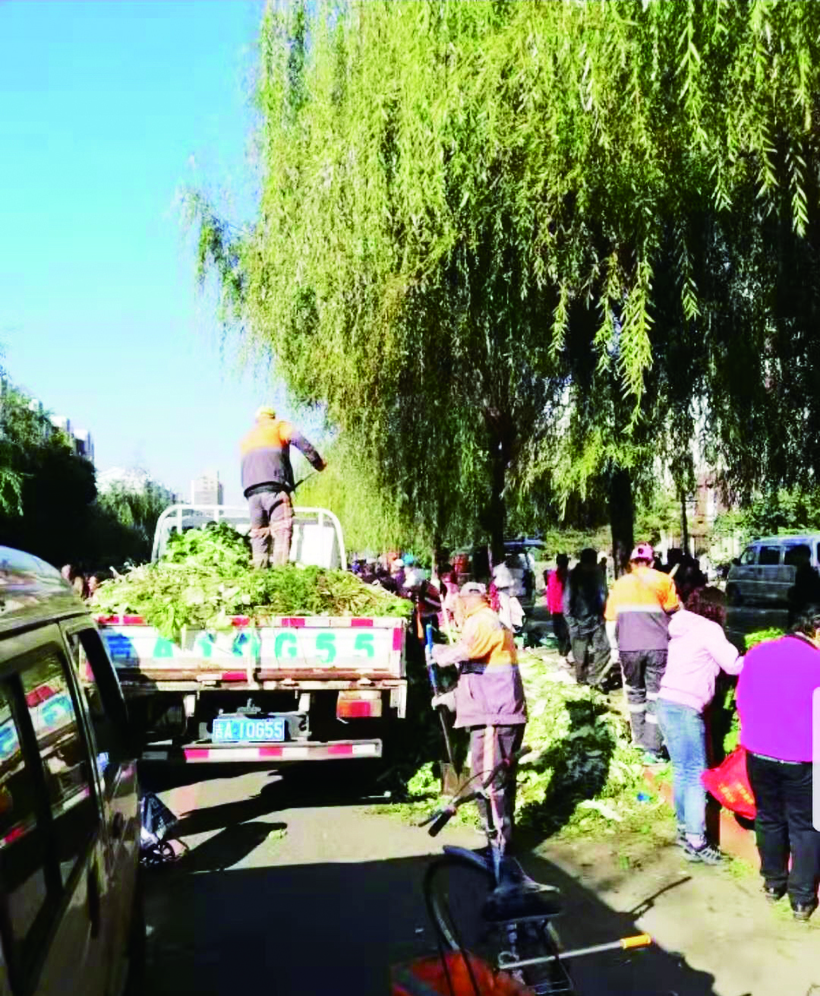 长春秋菜集中上市 共设立销售点178处