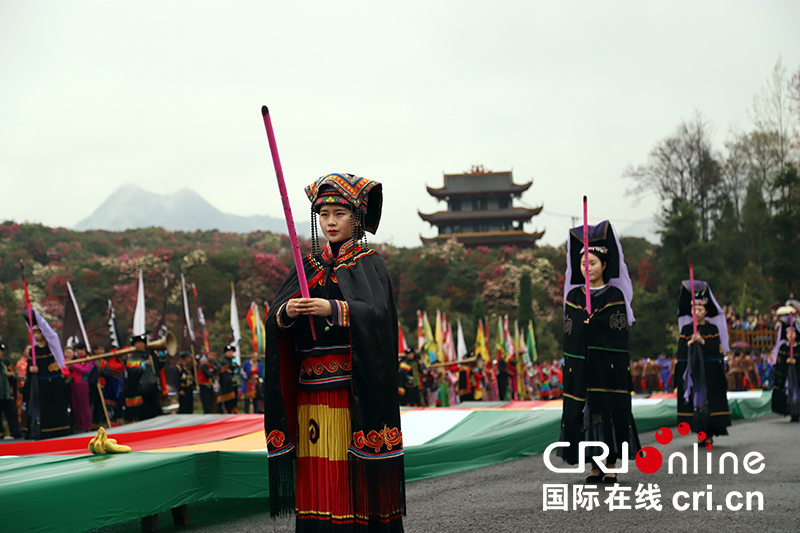 (已过审/焦点图)贵州百里杜鹃举行神秘的彝族“祭花神”仪式