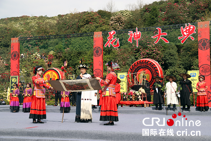 (已过审/焦点图)贵州百里杜鹃举行神秘的彝族“祭花神”仪式