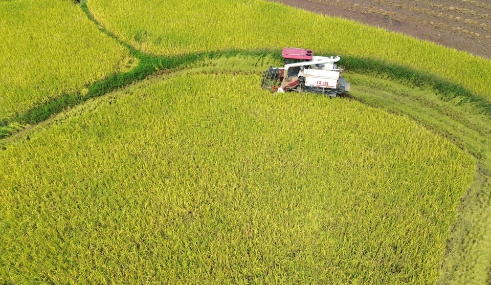 广西：霞映漓江山河壮