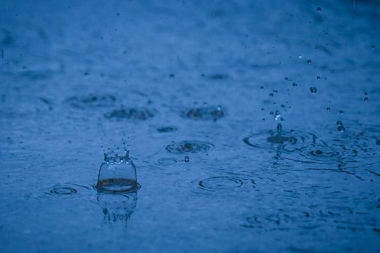 沈阳：出伏首场雨，阵阵送秋凉