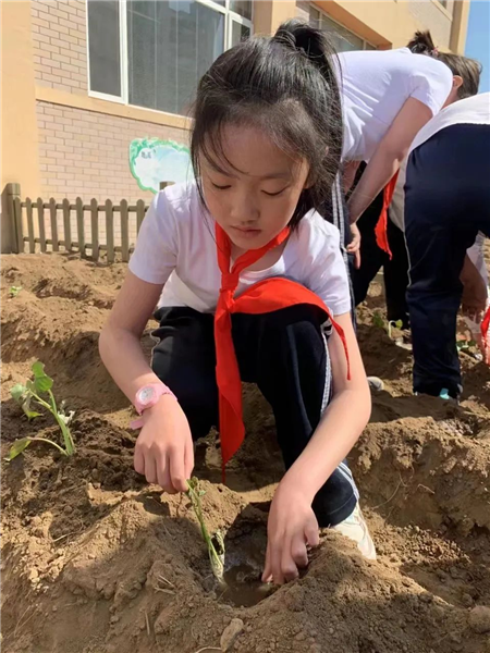 沈阳于洪新城第二小学：在实践中激发学生科学兴趣和劳动乐趣_fororder_于洪新城2