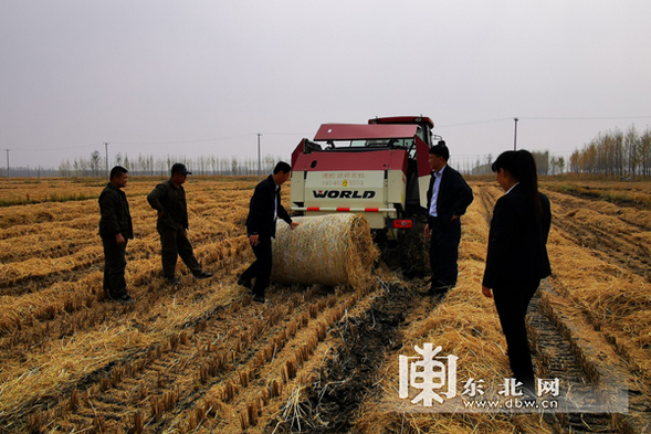 海伦市秋收秋整地同步展开