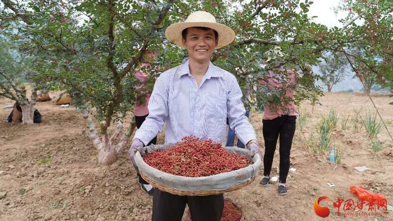 陇南：武都花椒产销对接会开幕