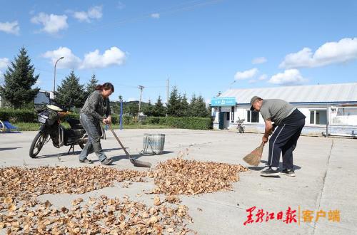 又到蘑菇采收时