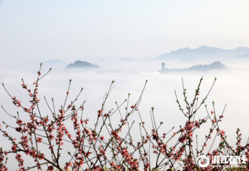 温岭春雾缭绕似仙境