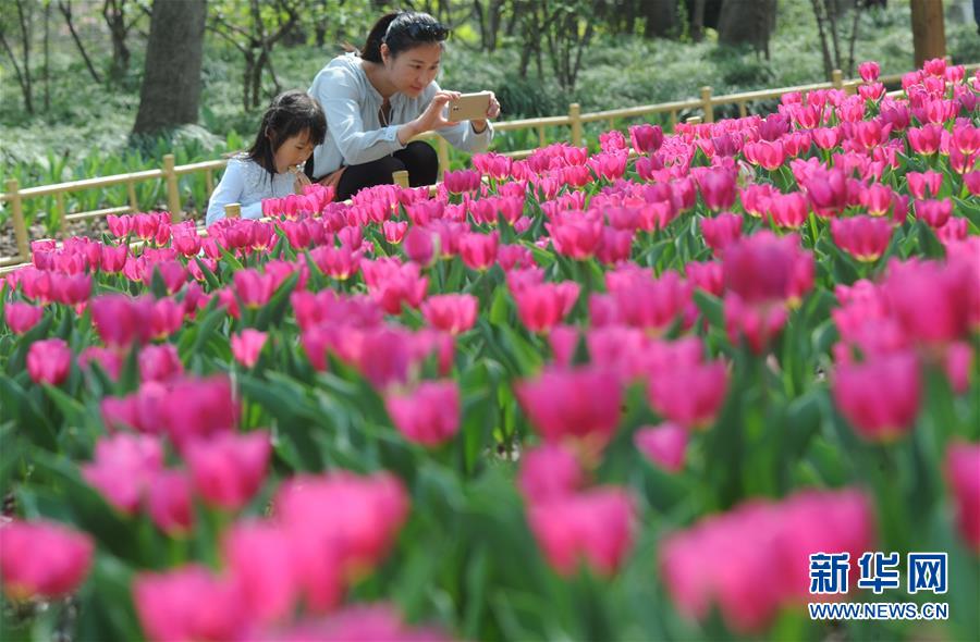 踏春赏景正当时