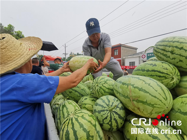 武汉蔡甸挖沟村：“富硒瓜”产销两旺 乡村振兴“甜蜜”升级_fororder_图片1