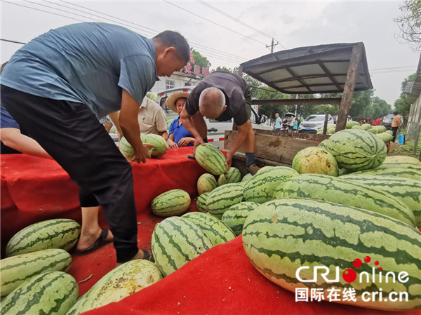 武汉蔡甸挖沟村：“富硒瓜”产销两旺 乡村振兴“甜蜜”升级_fororder_图片5