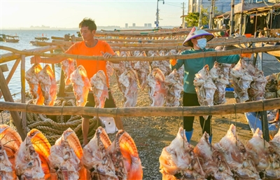 非遗琼味