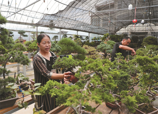 宿迁沭阳新河镇：花木特色产业 铺就乡村振兴富民路_fororder_图片 1