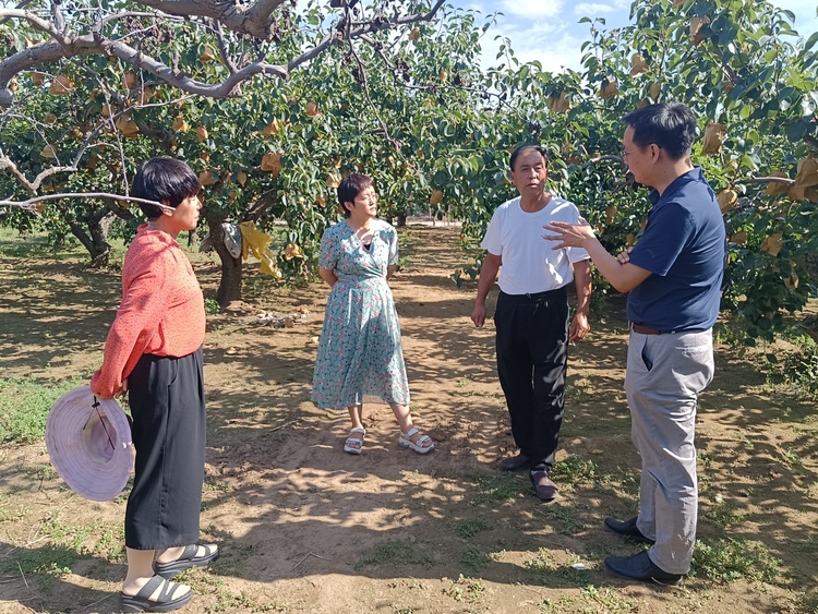 图片默认标题_fororder_科技特派员赵书岗到梨园指导果农种植梨树。郭阳摄 