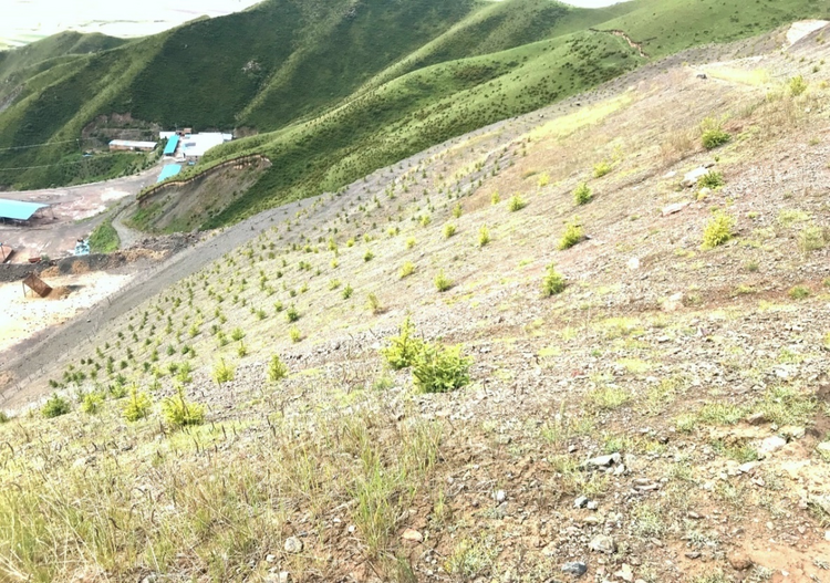 【原创】张掖市山丹县：强化要素保障 为高质量发展蓄势赋能_fororder_图片7