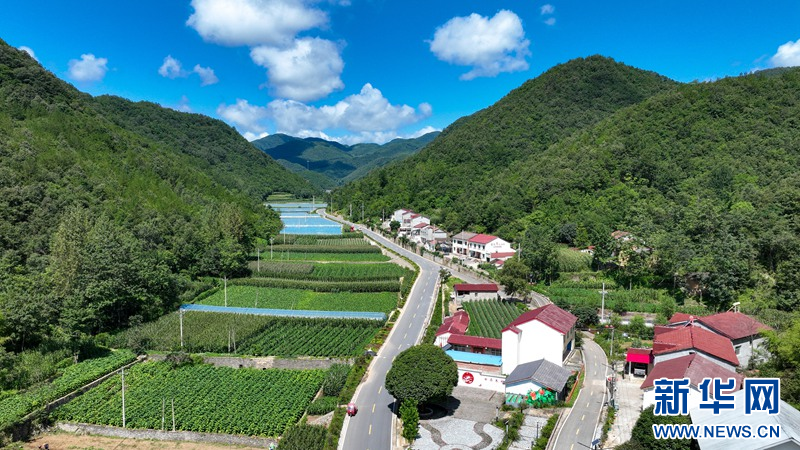 湖北保康：高山小镇 云景如画