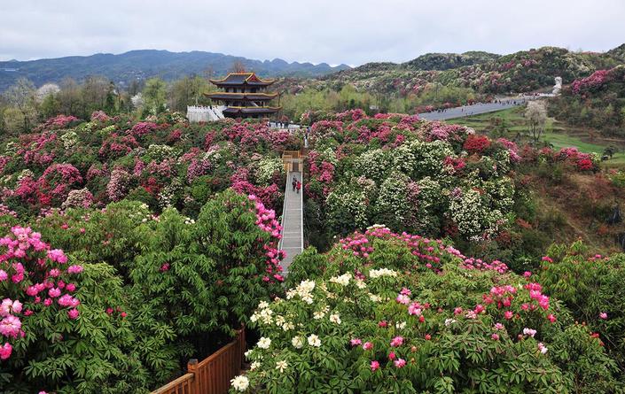 贵州两地入选2019中国森林旅游美景推广地