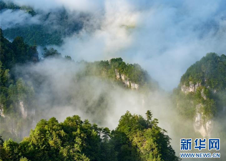 云雾神农架 仙气十足