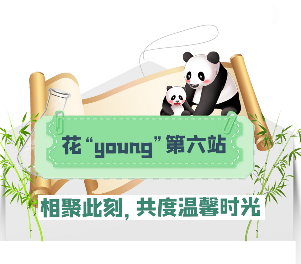 出发！不一“Young”的周末，心向往之