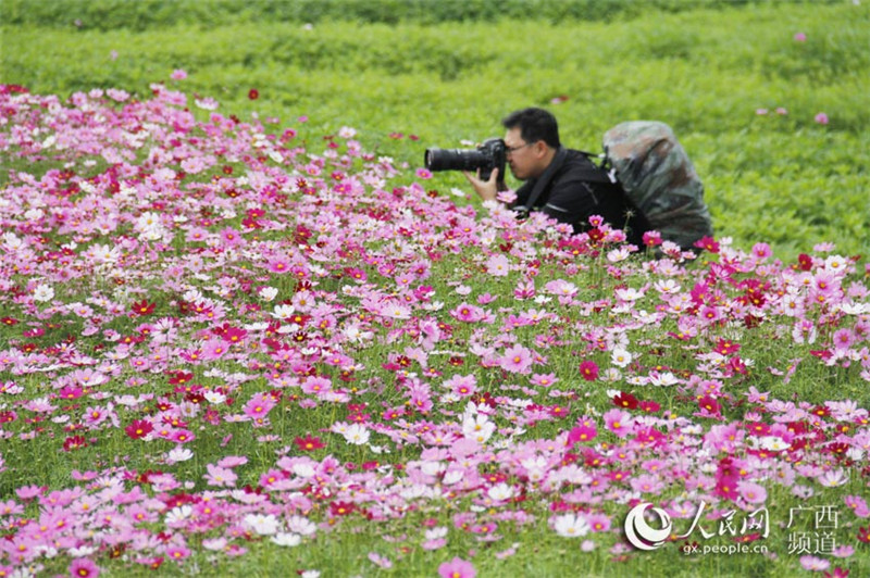 图片默认标题_fororder_媒体记者拍摄花海美景_副本