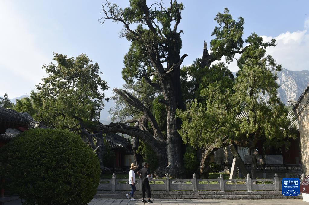 走进嵩阳书院 感受古韵文风