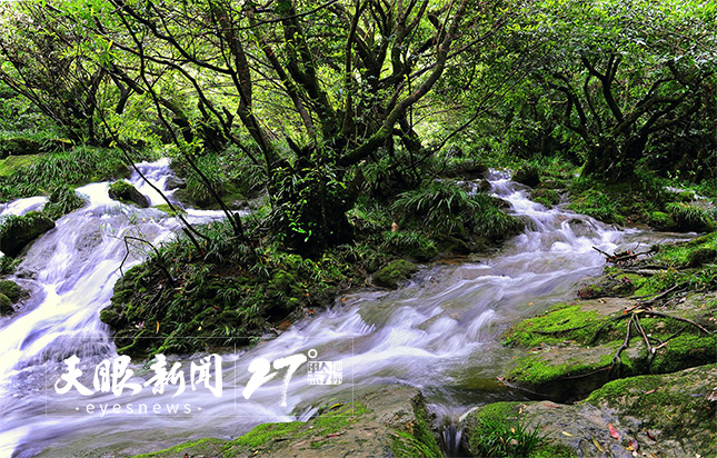 乘着贵南高铁寻美荔波｜踏瀑戏水，万池清波喜迎贵客