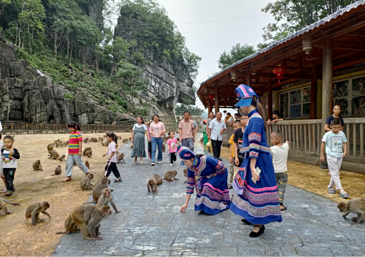 广西凤山：丰富旅游业态 推动文旅体产业高质量发展_fororder_图片2