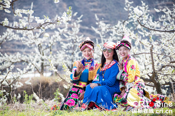 “三月相聚春赏花 五月相约夏摘果” 2018四川茂县万亩脆李花采风行活动启动