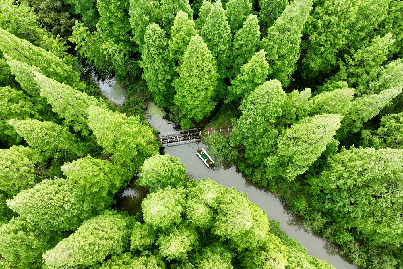 扬州：湿地公园壮美秀丽