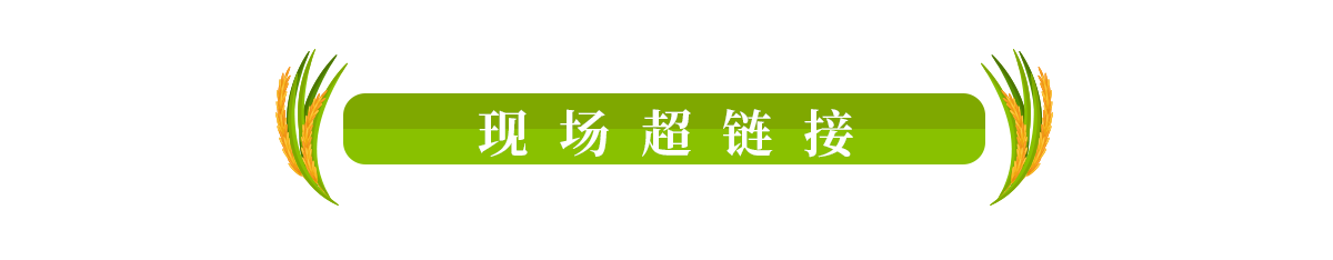 现场超链接banner_fororder_0807庆安专题页-超链接1200x234