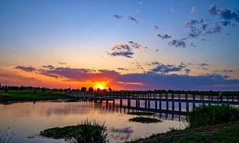 河北石家庄：水清岸绿花成海 滹沱美景醉游人