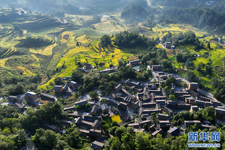 重庆：万亩梯田如画卷 巴渝山乡好“丰”景