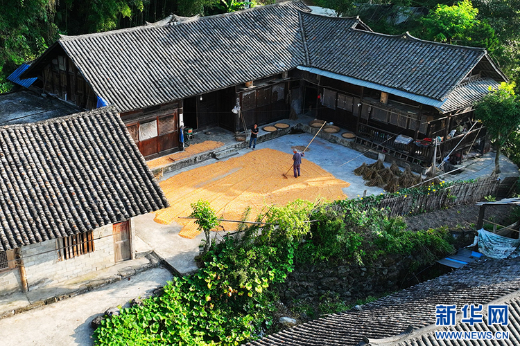 重庆：万亩梯田如画卷 巴渝山乡好“丰”景