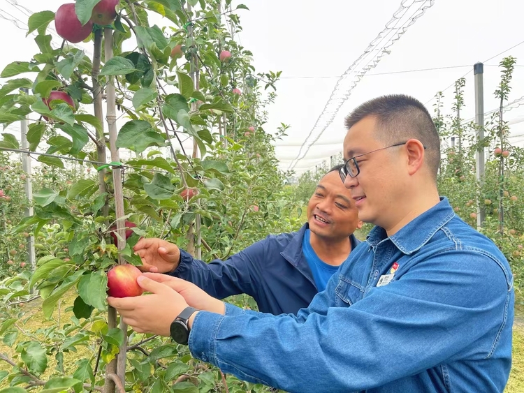 集中“充电”练就过硬帮扶本领 ——国网陕西电力提升帮扶干部能力素养助力乡村振兴_fororder_微信图片_20230815160828