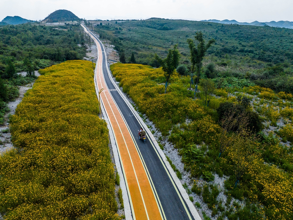 贵州毕节：建草原景点丰富山地旅游_fororder_2023年9月2日，游客在贵州省毕节市百里杜鹃管理区方家坪景区里游玩。 (2)