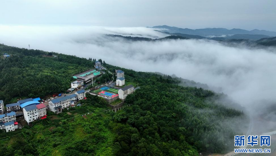 巴东秘境绿葱坡 夏日风光引游人