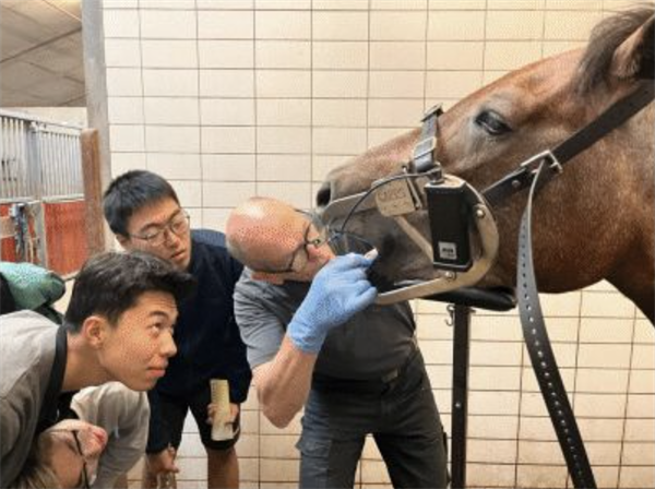 武汉商学院马术专业学生在荷兰完成国际交流_fororder_图片8