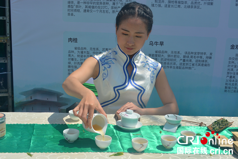 永泰举行首届绿茶春茶开采节 助力乡村经济旅游发展