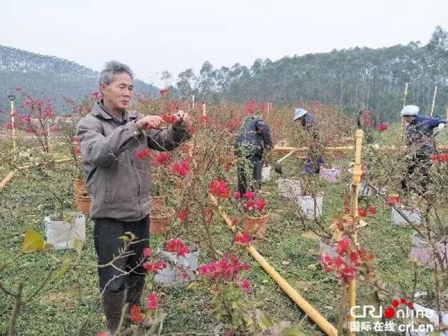 【唐已审】（供稿）广西北海市加快推进“美丽北海 宜居乡村”建设