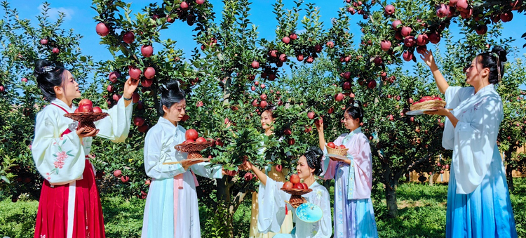 【原创】天水武山：“秋语丰年 和美乡村”——桦林镇举办庆丰收苹果采摘活动_fororder_图片8