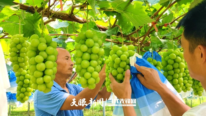 五彩斑斓的画卷，是贵州好“丰”景