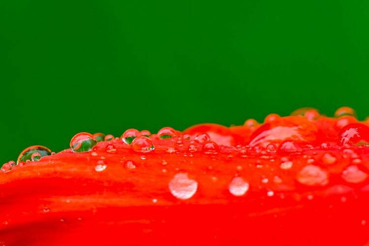 沈阳：出伏首场雨，阵阵送秋凉