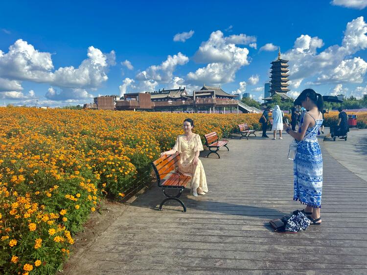 长春北湖花海开启长春八月的浪漫