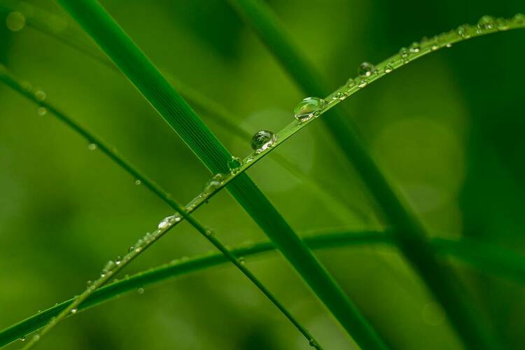 沈阳：出伏首场雨，阵阵送秋凉